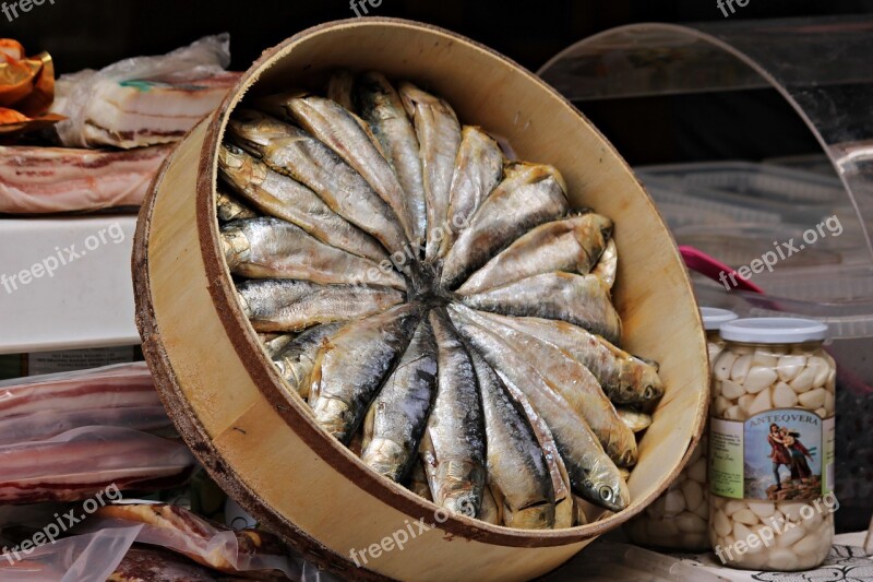 Sardines Food Fresh Healthy Eat