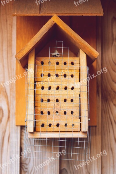 Insect House Bee Hotel Solitary Bees Wild Wood