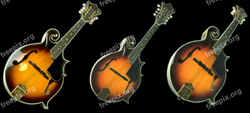 Guitar Strings Acoustics Music Tool