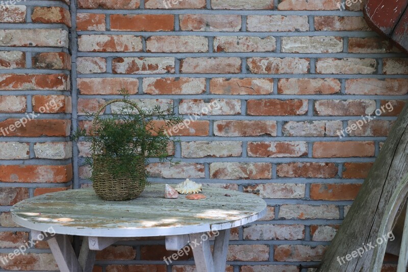 Still Life Props Tables Flowers Wall