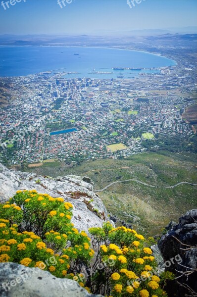 South Africa Africa Cape Town Nature Travel