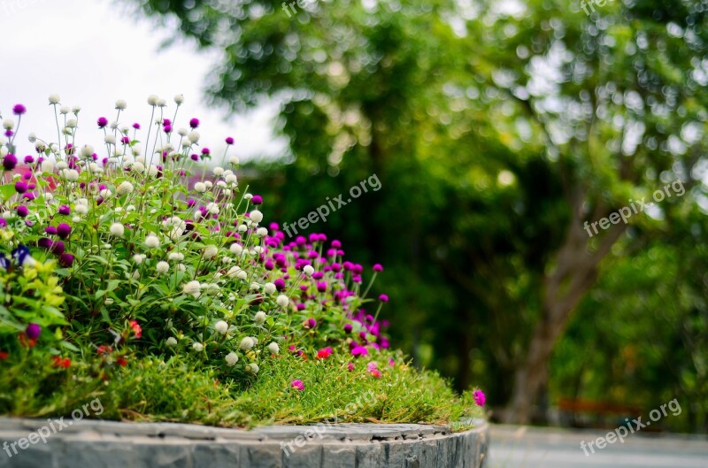 Beautiful Flower Garden Gardens Display Gardens