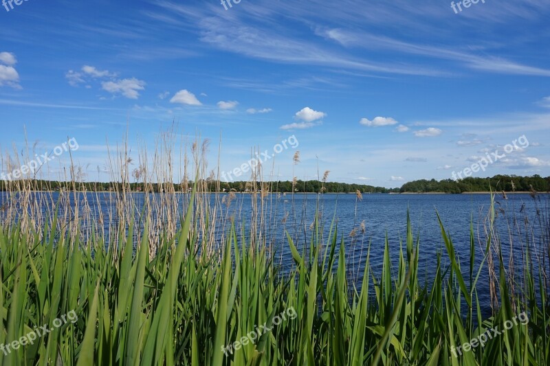 Lake Water Reed Landscape Nature