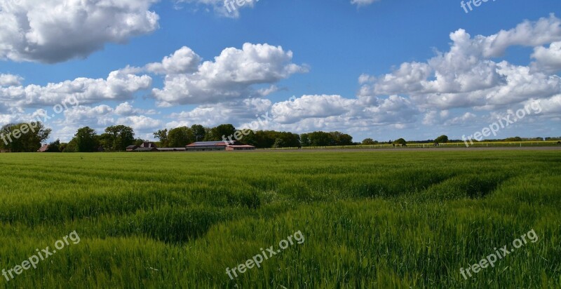 Field Landscape Clouds Sky Nature