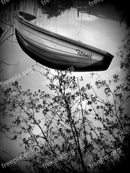 Boat Lake Trees White Nero