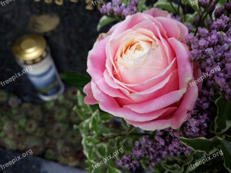 Cemetery Mourning Candle Rose Flower