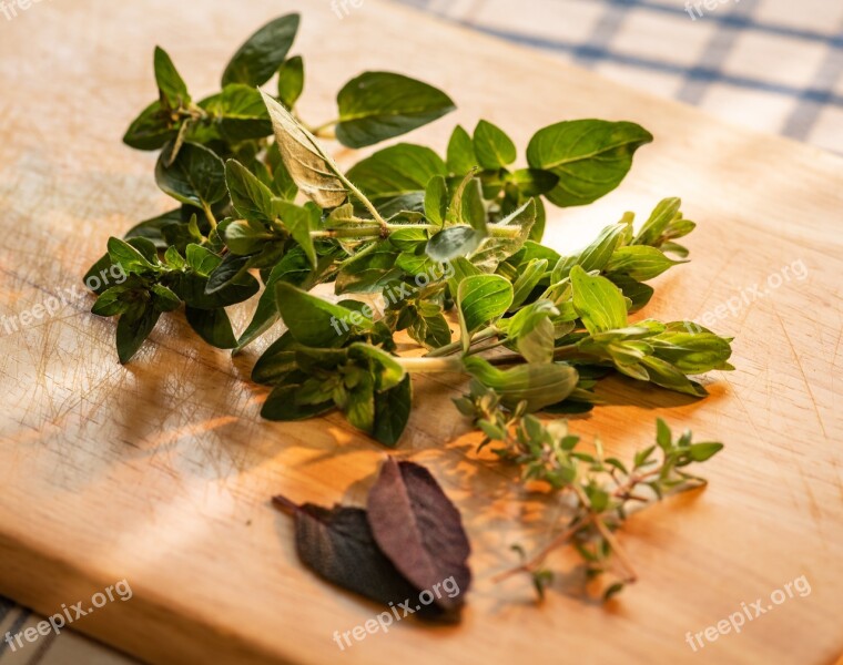 Culinary Herbs Marjoram Sage Thyme St John's Wort