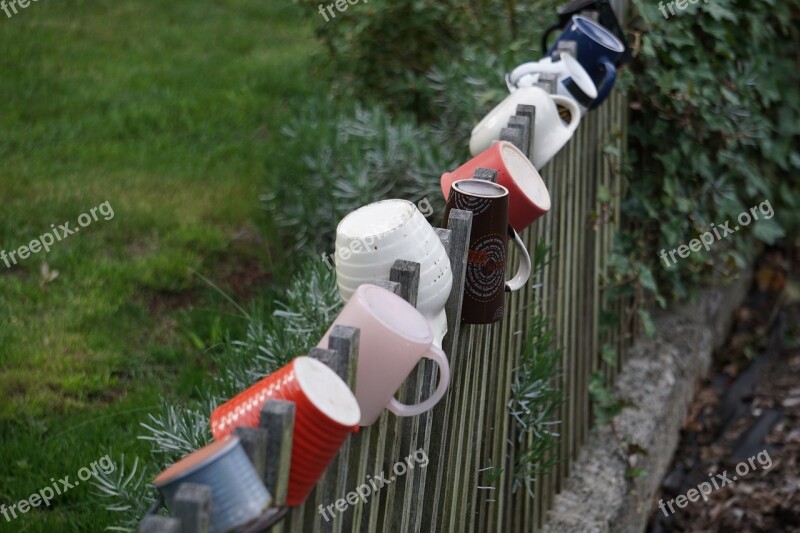 Fence Cup Garden Nature Spring