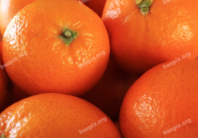 Oranges Citrus Fruits Fruit Fruits Vitaminhaltig