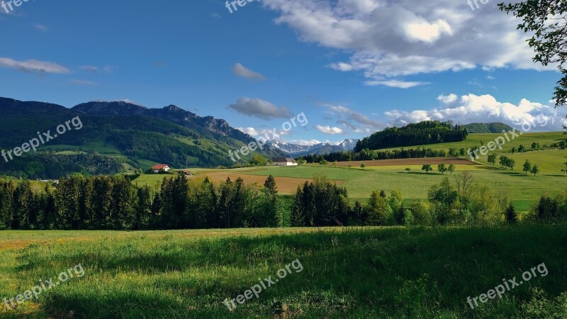 Nature Landscape Fields Spring Foresight