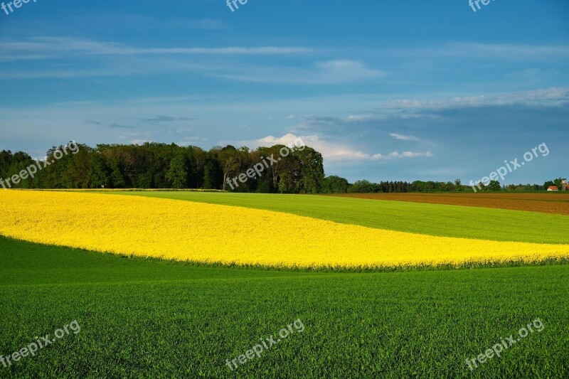 Nature Landscape Spring Bloom Fields