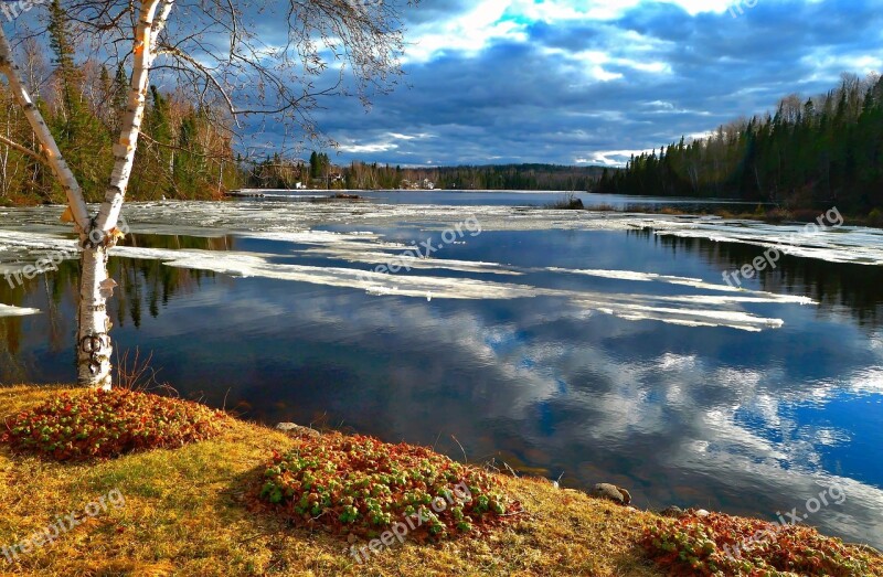 Landscape Nature Trees Water Ice