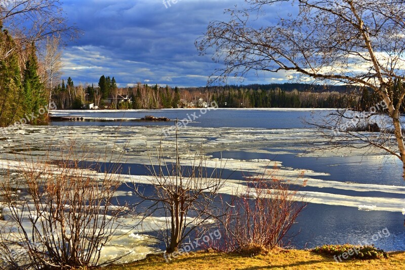 Landscape Nature Ice Trees Sky