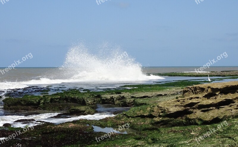 Sea Wave Shore Rocky Splash