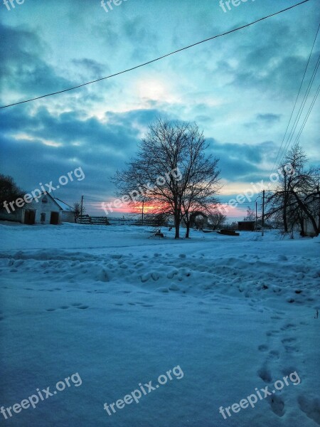 Dawn Sun Tree Beautiful Nature