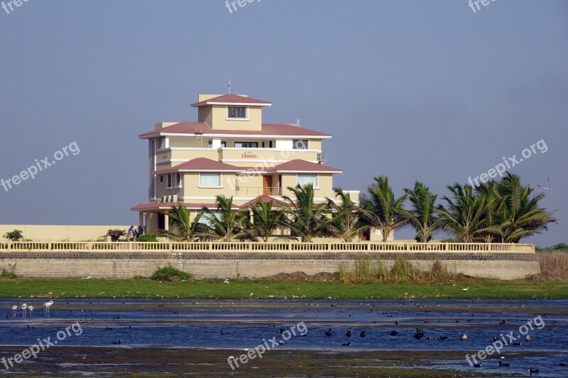 Mansion Bungalow House Waterside Wetland