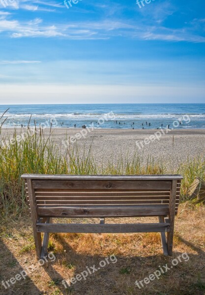 Bench Ocean Coast Coastline Beach