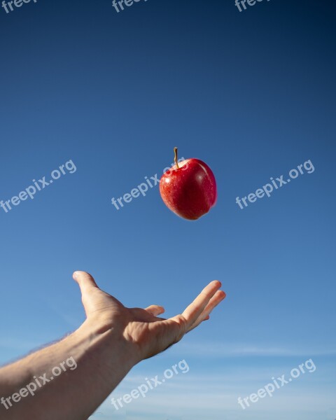 Fruit Food Apple Hand Fresh