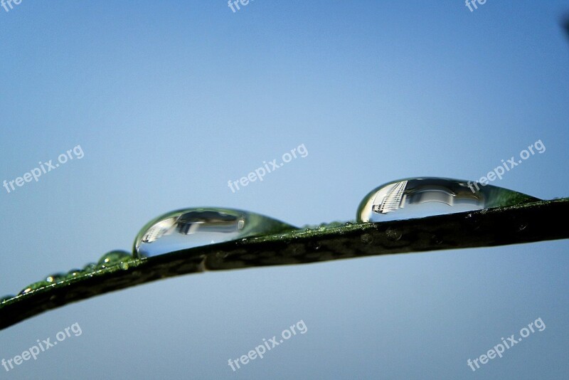 Raindrops The Water Droplets Water Droplets Sound Leaf Plants