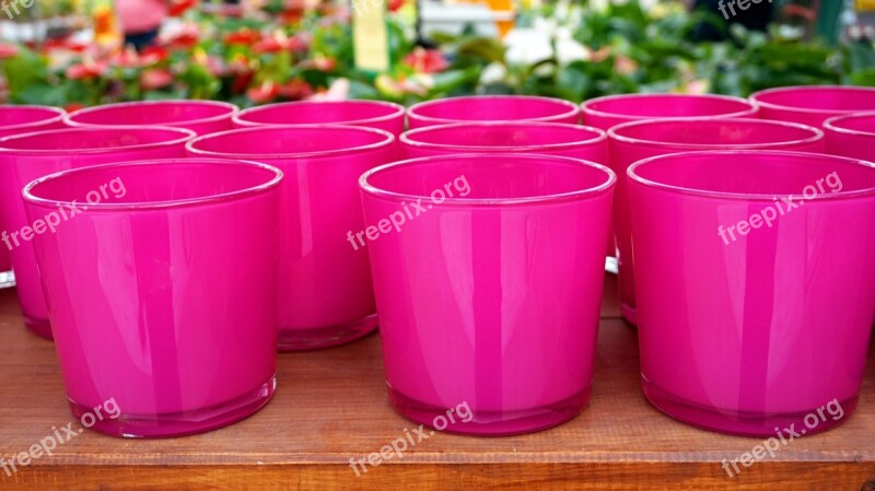 Glasses Pink Deco Vase Free Photos