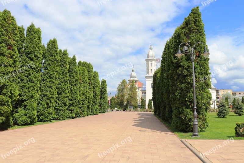 Park View City Centre Shrubs Landscape