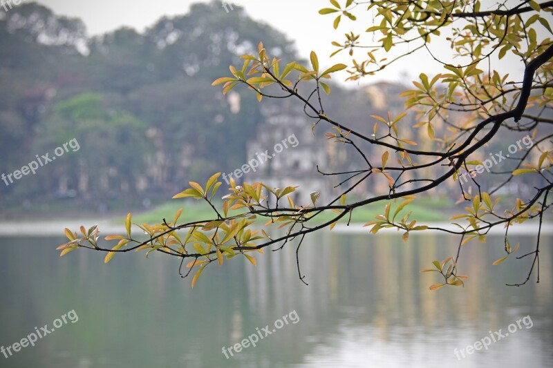 Lake Turtle Tower Hoan Kiem Lake Loc Vung Carved Leaves