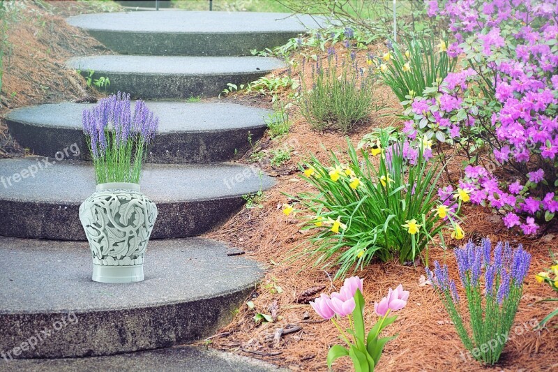 Spring Steps Stairs Flowers Blooms