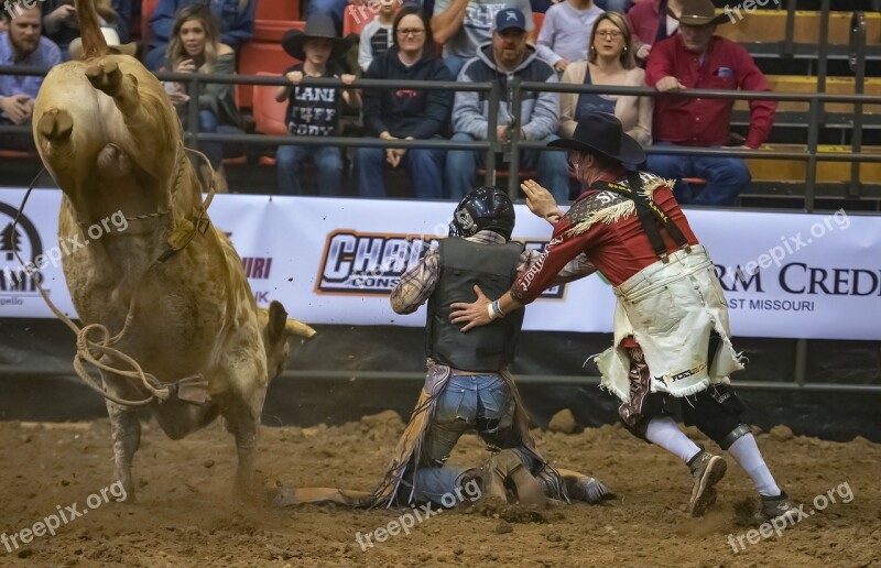 Bull Bull Rider Bull Riding Rodeo Cowboy