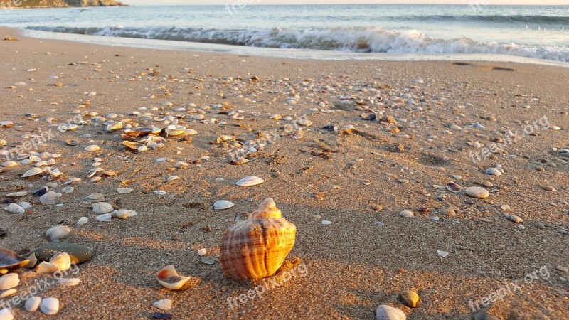 Shell Beach Turkey Sea Sunrise