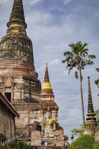 Temple Thailand Palm Asia Buddhist