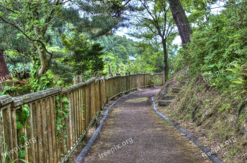 Park Green Natural Wood Summer