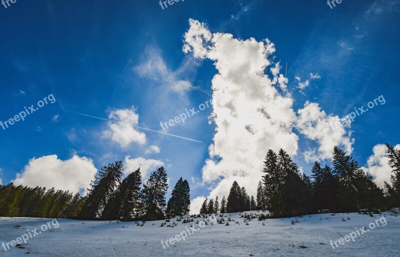 Sky Clouds Landscape Forest Snow