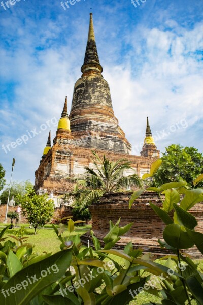 Temple Thailand Palm Asia Buddhist