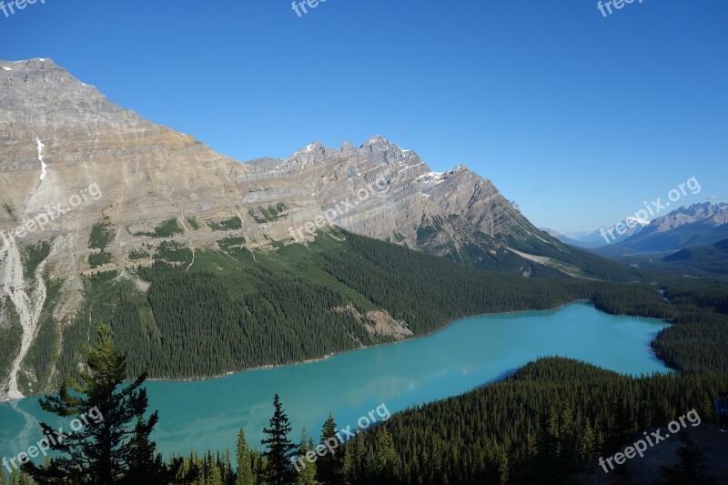 National Park Peyto Lake Canada Nature