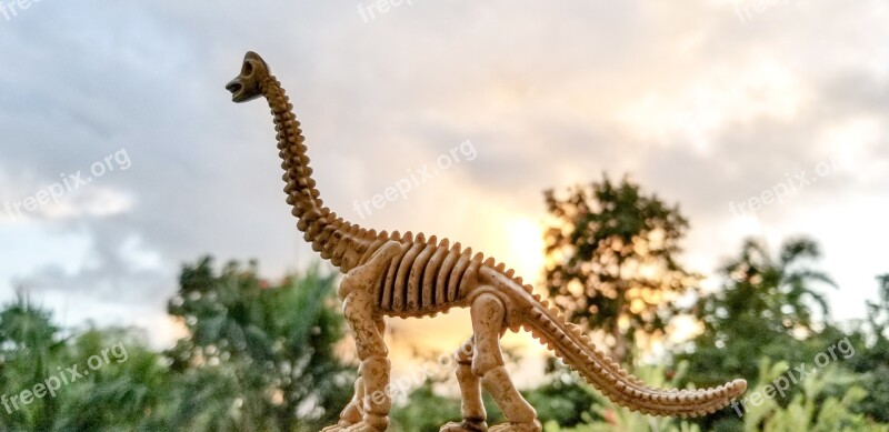 Toy Fossil Dinosaur Fossil Pretend Extinct Dinosaur