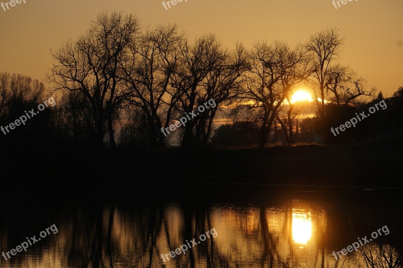 Sunset Silhouette Trees Landscape Nature