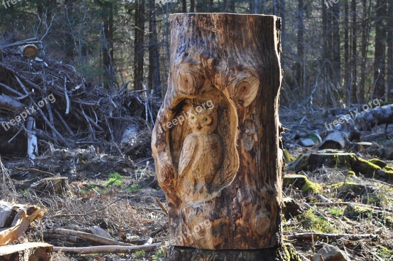 Wood Sculpture Bird Owl Nature