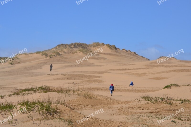 Devon Desert England Coastal Free Photos