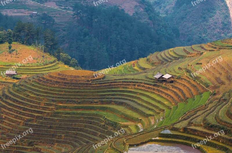 Agriculture Moutain Valley Landscape Terraces Rice Field