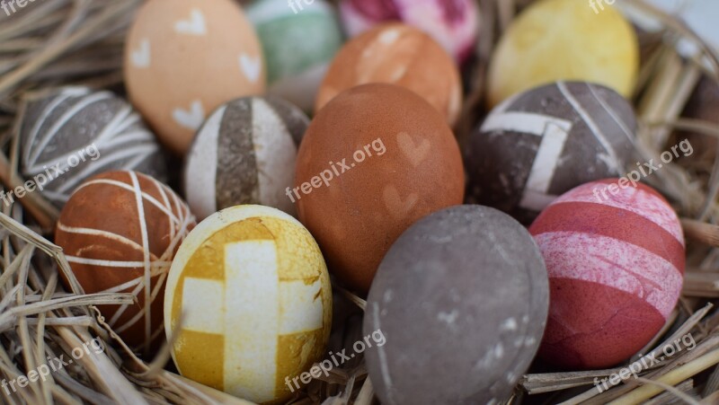 Easter Eggs Easter Egg Natural Dyeing Eggs Free Photos