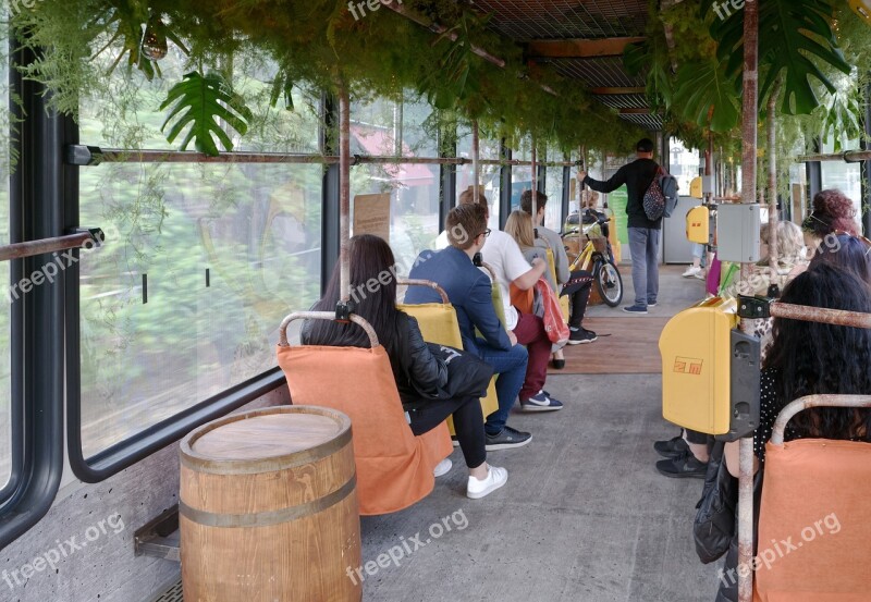 Tram People Transport Public Travel