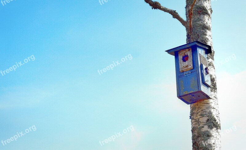 Birdcage Bird's Nest Tiny House Free Photos