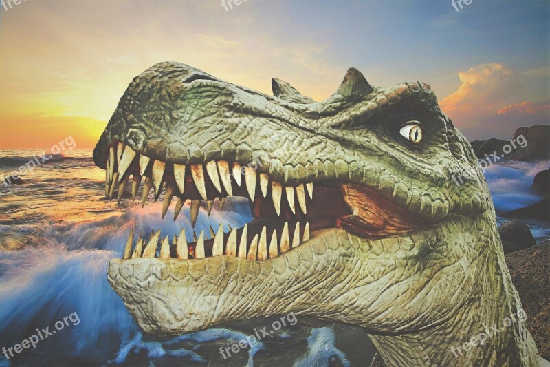 Dinosaur Dino Giant Lizard Prehistoric Times T Rex