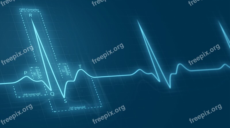 Cardiac Pulse Time Series Statistics Free Photos