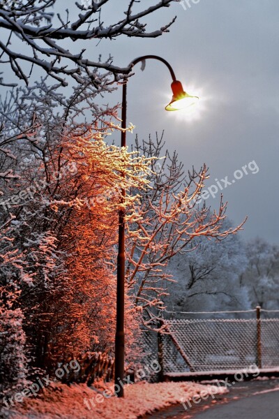 Lantern Lamp Post Winter Snow Light