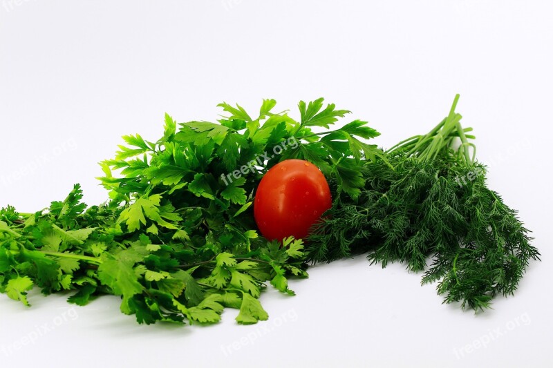 White Background Greens Parsley Dill Cilantro