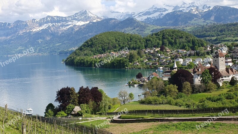 Mountains Lake Vines Wine Spiez