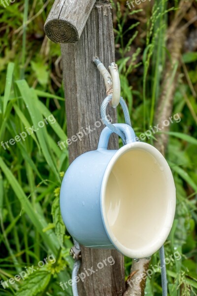 Cup Idyllic Idyll Still Life Stairs