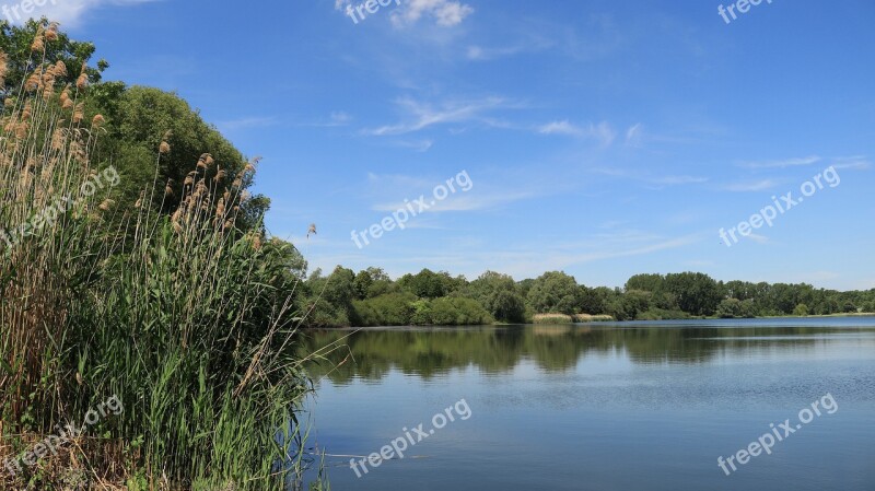 Nature Lake Water Landscape Waters