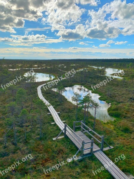 Swamp Pond Raised Bog Latvia